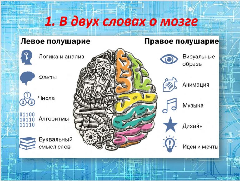 Правое и левое полушарие мозга презентация